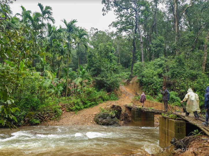 Kodachadri Peak, Kodchadri Trek, Western Ghats