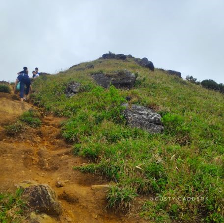 Trails of Tadiandamol