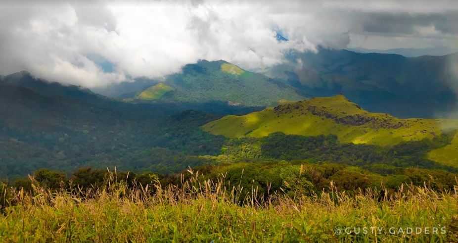 View of Hills from Tadiandamol Peak, Coorg