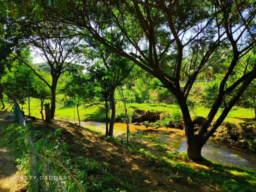 Inside Isha Foundation Campus, Coimbatore