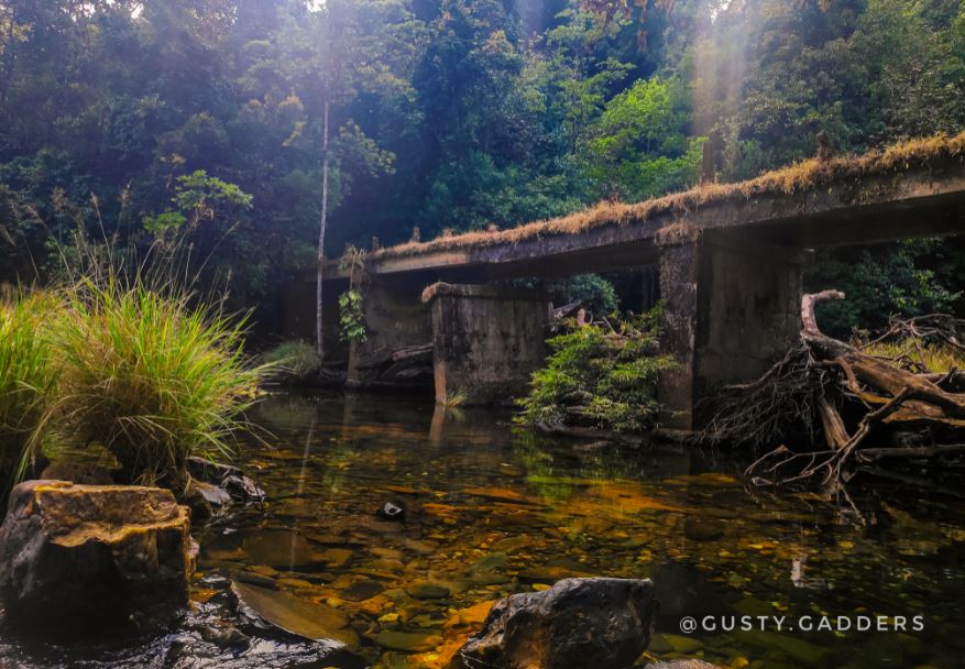 A brook flowing at the foothills of Kurinjal Peak