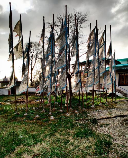 Tsering Jong Monastery in Bir Billing