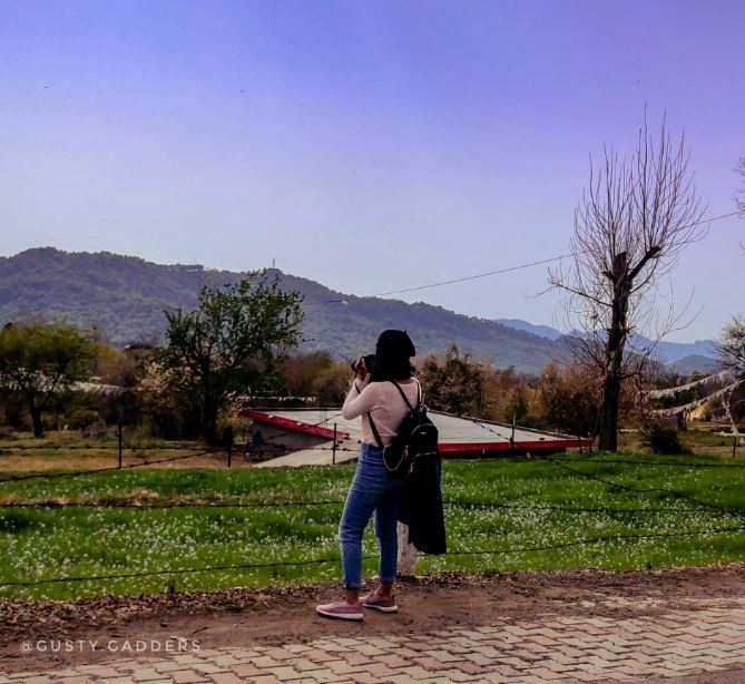 A girl clicking landscape picture