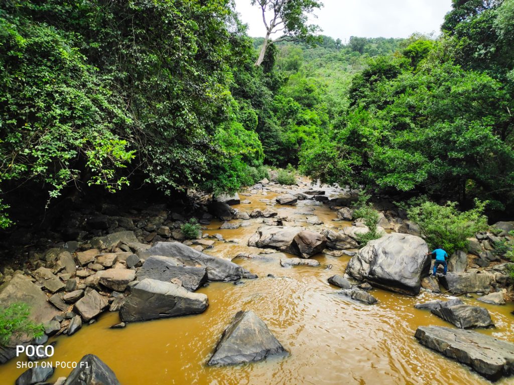 Mookamaane-Waterfalls-Sakleshpur-1