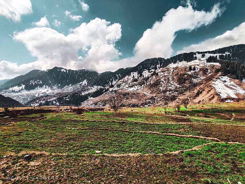 Open grassland, snow-capped mountains and little sunshine.