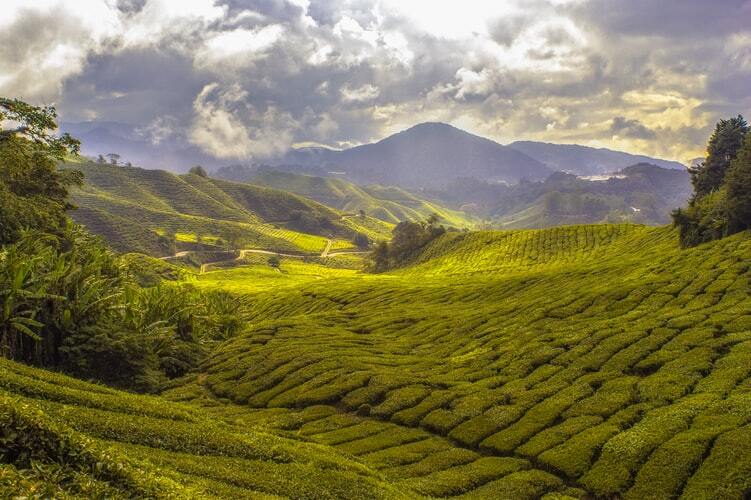 Layers of Rolling Hills in the Western Ghats